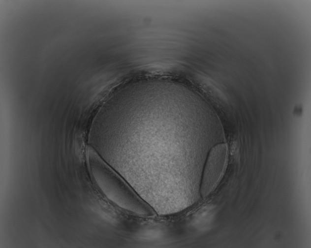X0000093500868200710191247