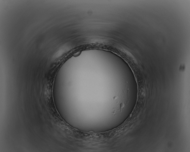 X0000093500869200710191247
