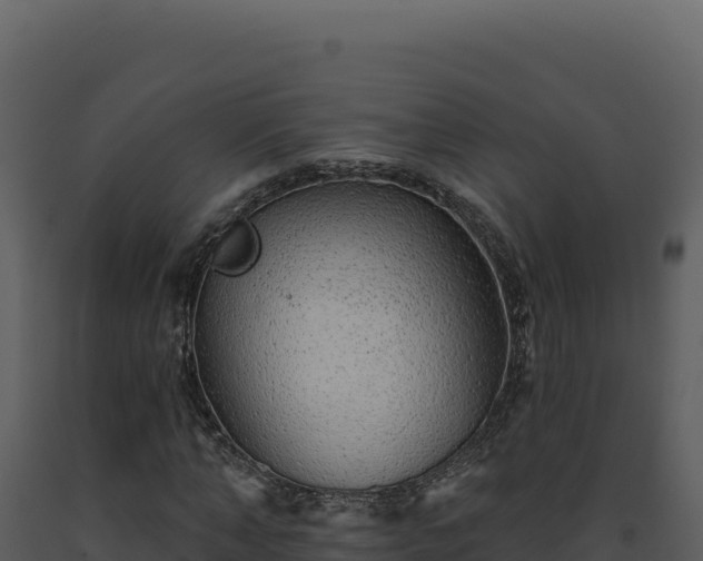 X0000093500870200710191247