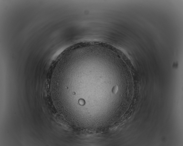 X0000093500871200710191247