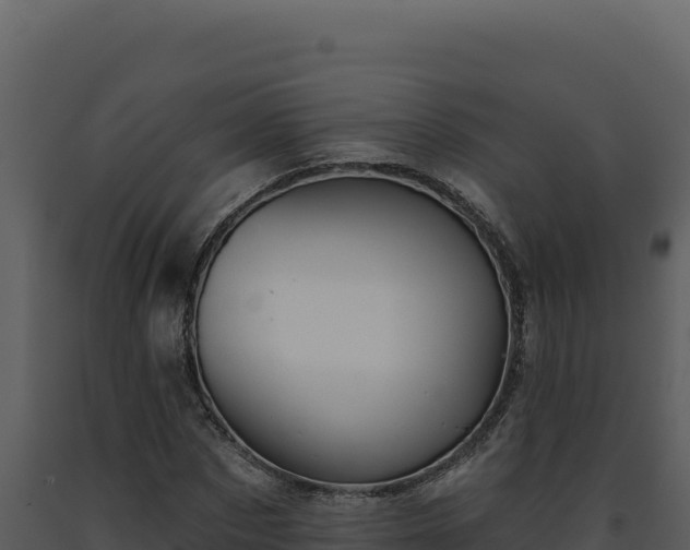 X0000093500873200710191246