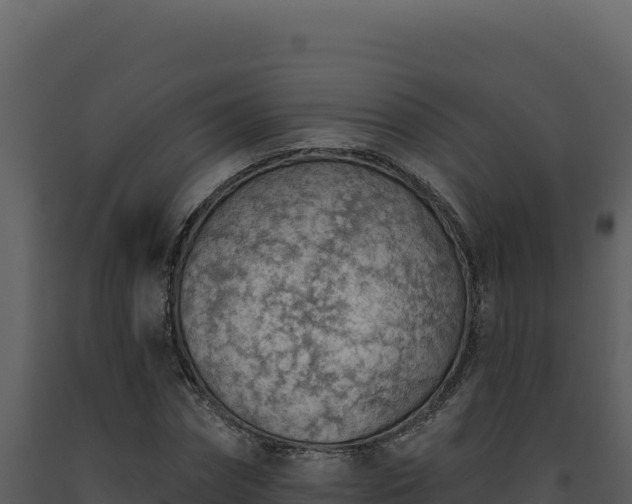 X0000093500874200710191246