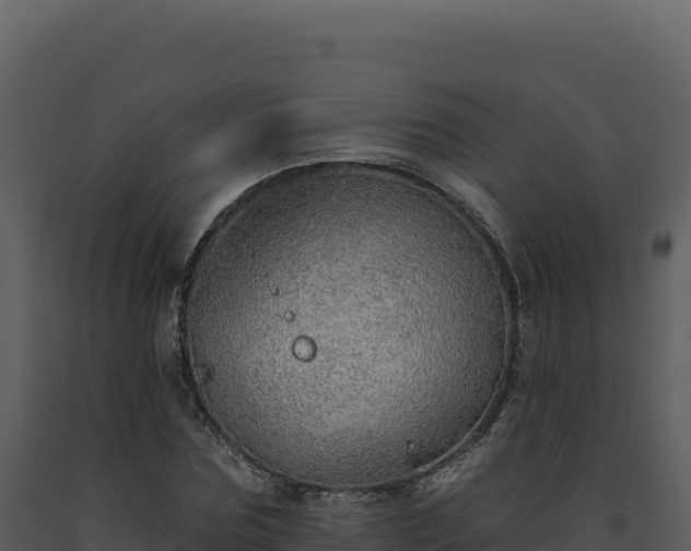 X0000093500875200710191246