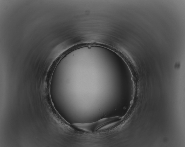 X0000093500876200710191246