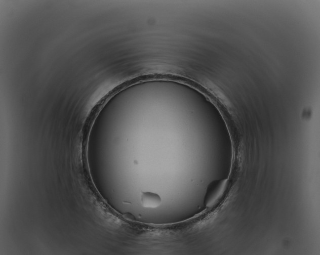 X0000093500877200710191246