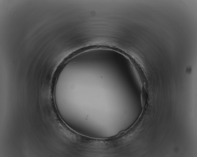 X0000093500880200710191246