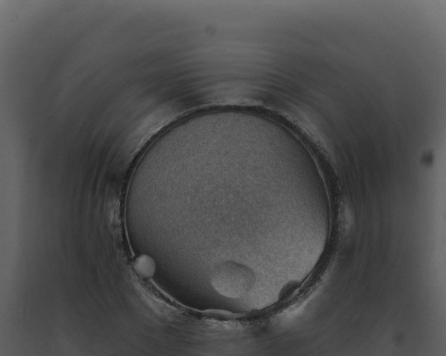 X0000093500881200710191246