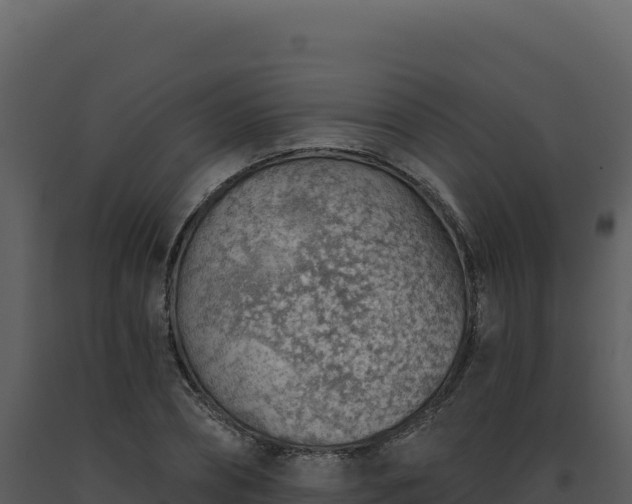 X0000093500882200710191246