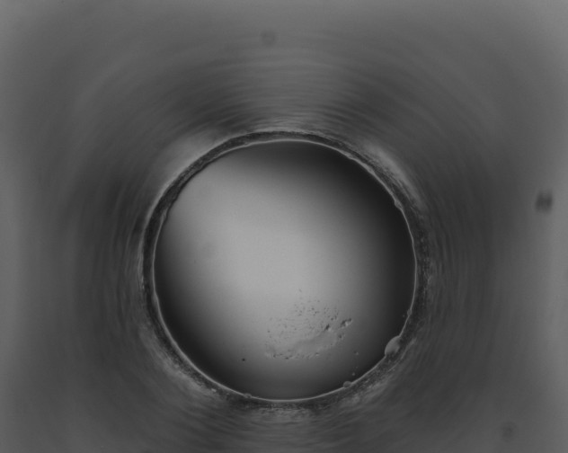 X0000093500884200710191246