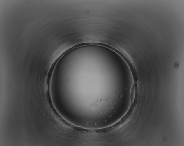 X0000093500885200710191246
