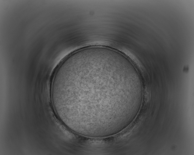 X0000093500886200710191246