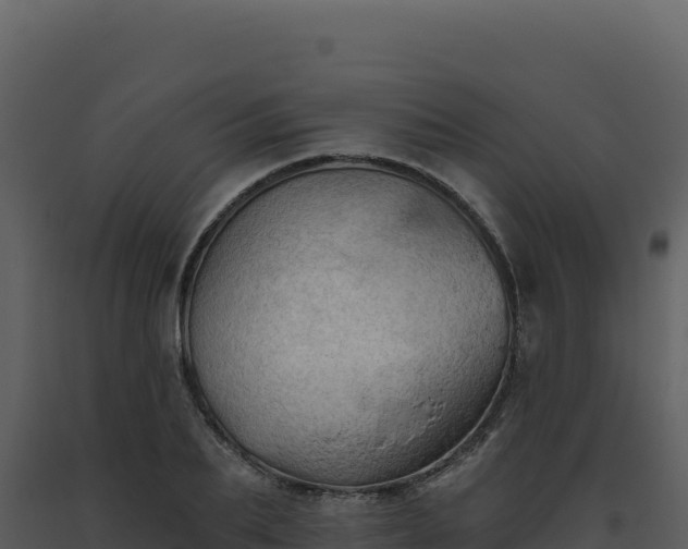 X0000093500887200710191246