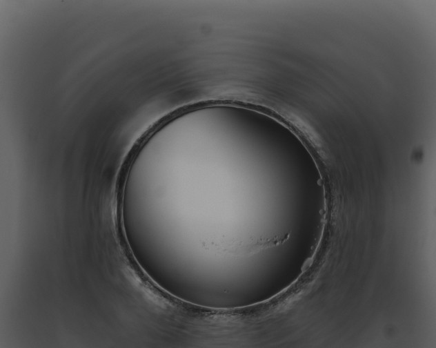 X0000093500888200710191246
