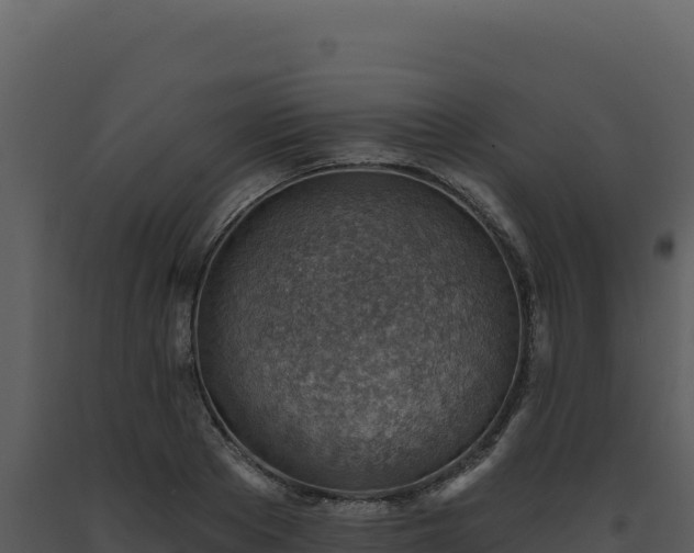 X0000093500889200710191246