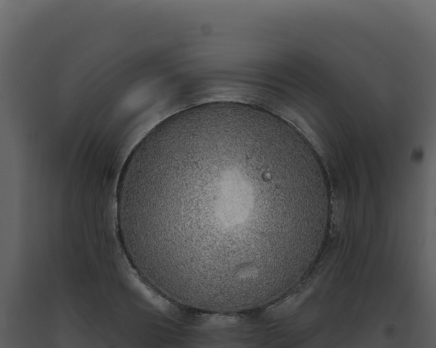 X0000093500890200710191246