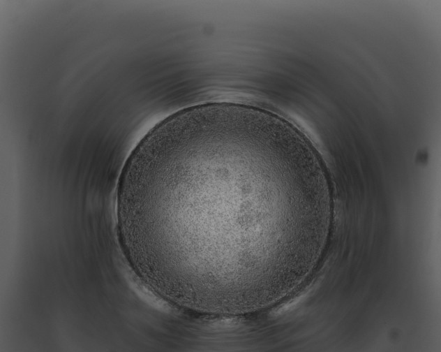 X0000093500891200710191246