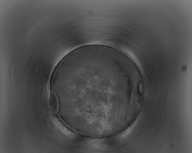 X0000093500892200710191246