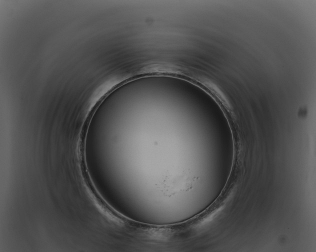 X0000093500893200710191246