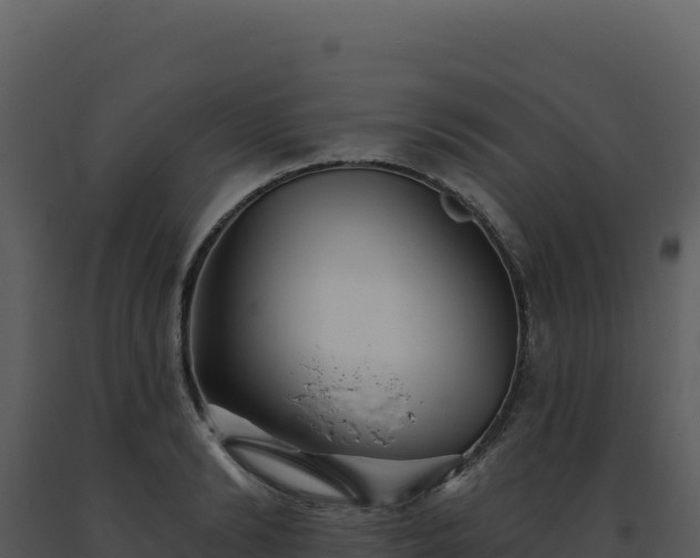 X0000093500894200710191246