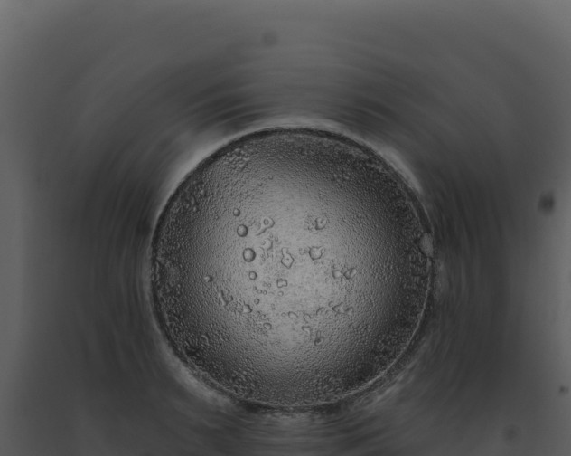 X0000093500895200710191246