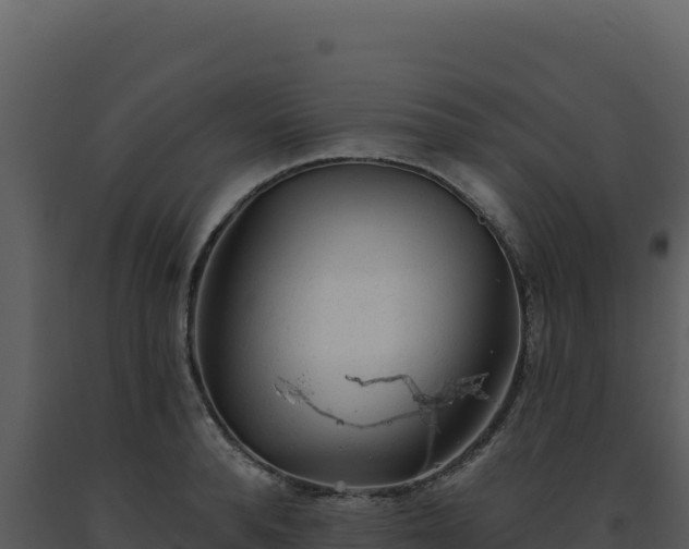 X0000093500896200710191246