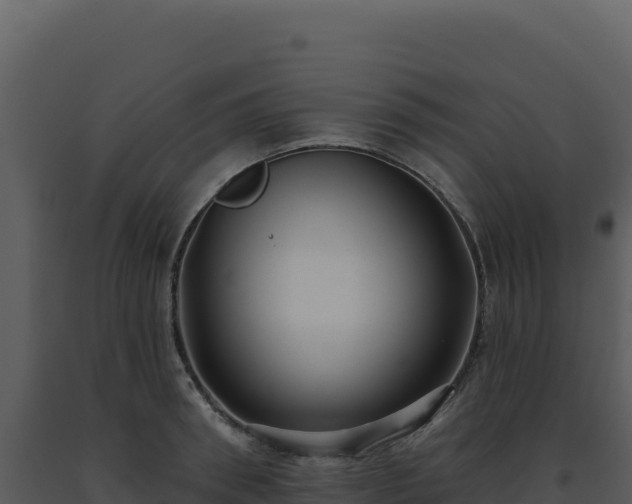 X0000093500898200710191246