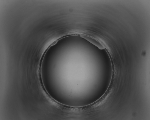 X0000093500901200710191246