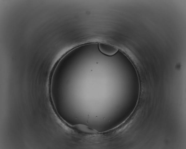 X0000093500902200710191246