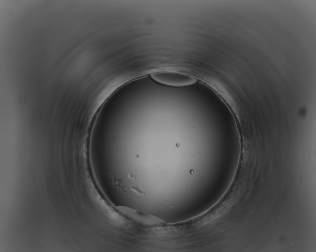 X0000093500906200710191246