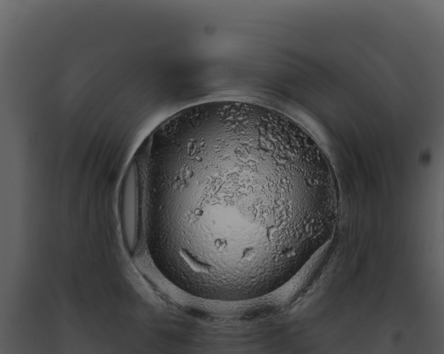 X0000093500907200710191246