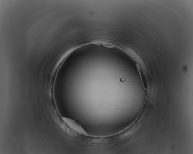 X0000093500908200710191246