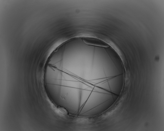 X0000093500909200710191246