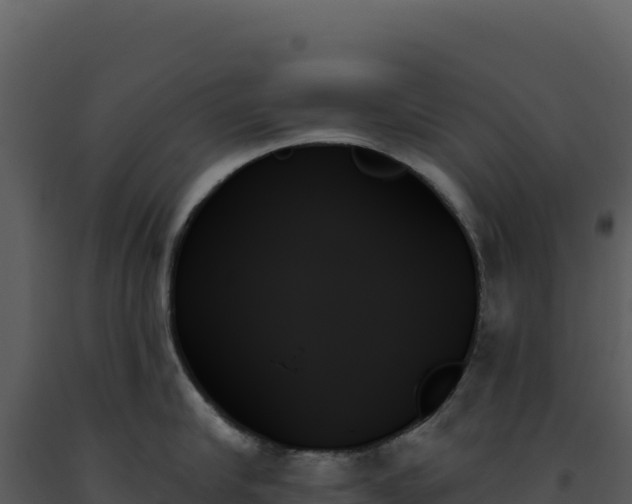 X0000093500910200710191246