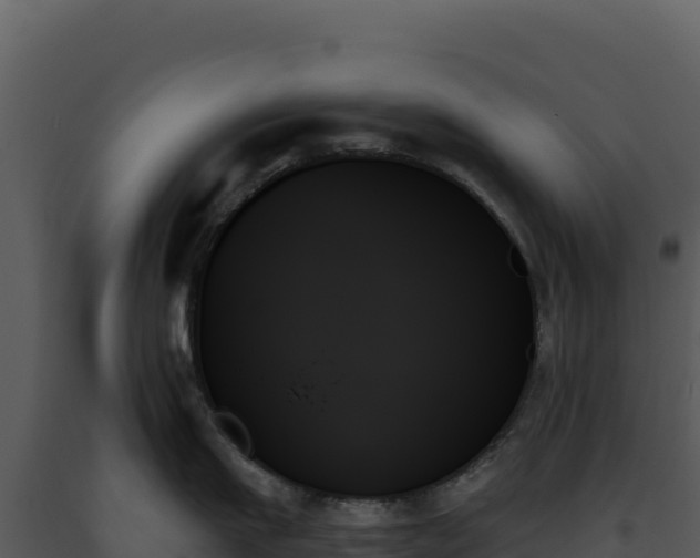 X0000093500911200710191246