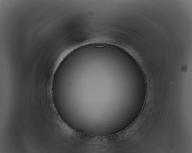 X0000093500912200710191246