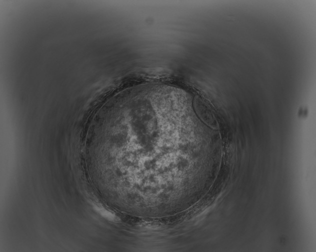 X0000093500913200710191245