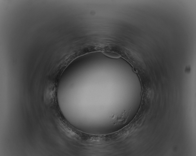 X0000093500914200710191245