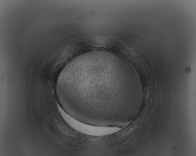 X0000093500916200710191245