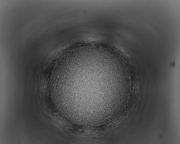 X0000093500917200710191245