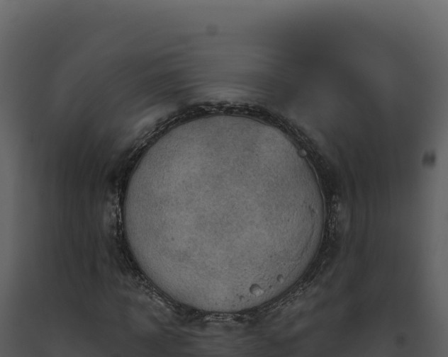 X0000093500918200710191245