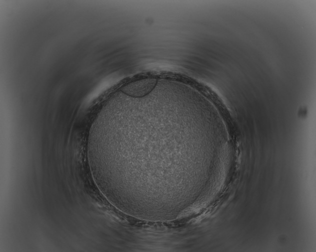 X0000093500919200710191245