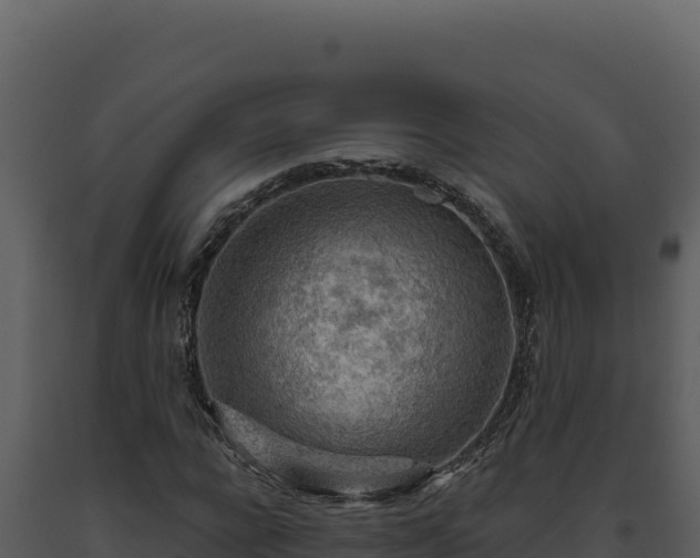 X0000093500920200710191246