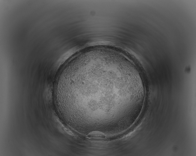 X0000093500921200710191246