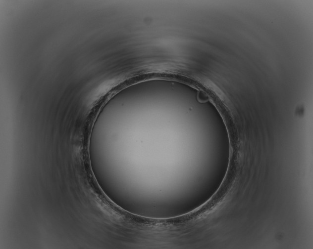 X0000093500922200710191246