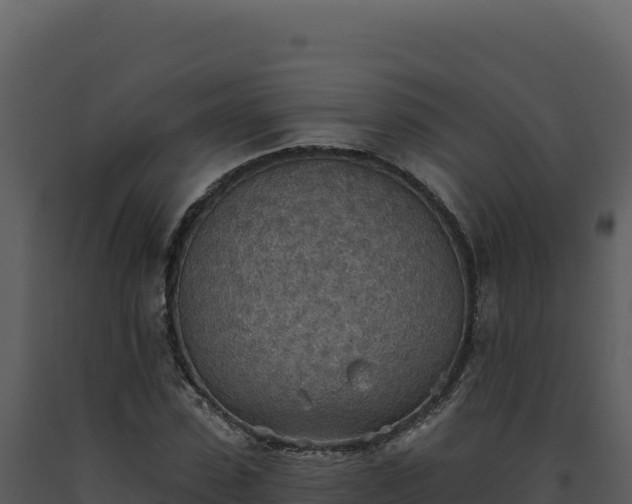 X0000093500923200710191246