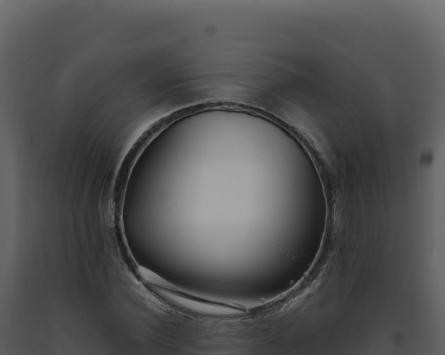 X0000093500924200710191246