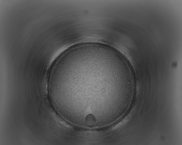X0000093500925200710191246
