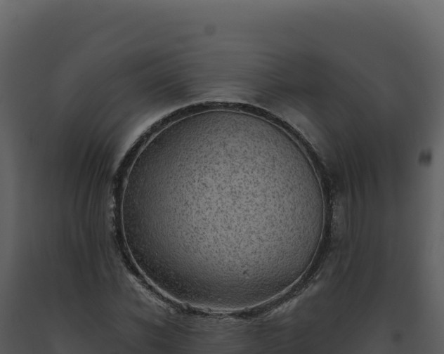 X0000093500926200710191246