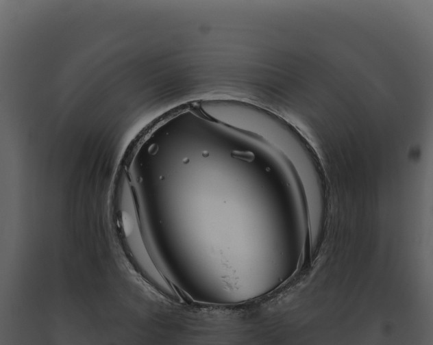 X0000093500928200710191246