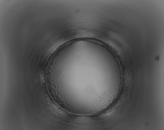 X0000093500929200710191246